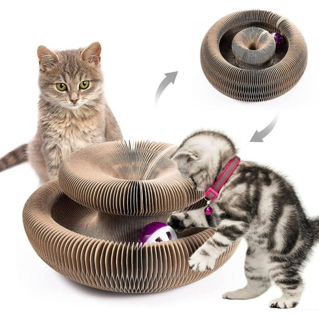 Rascador para gatos con órgano mágico 