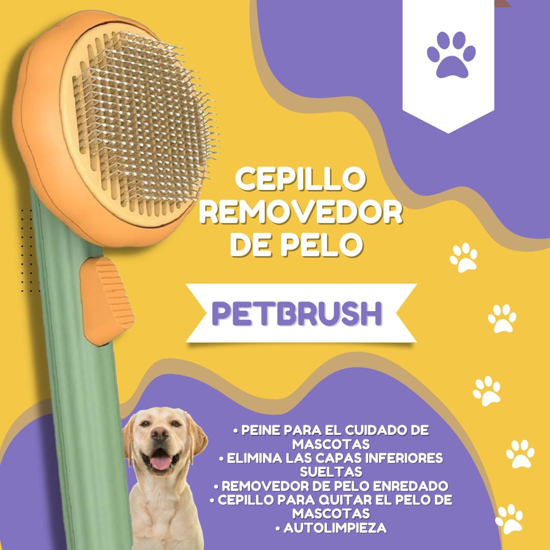 ¡Deshazte del vello con nuestro revolucionario cepillo depilatorio! 
