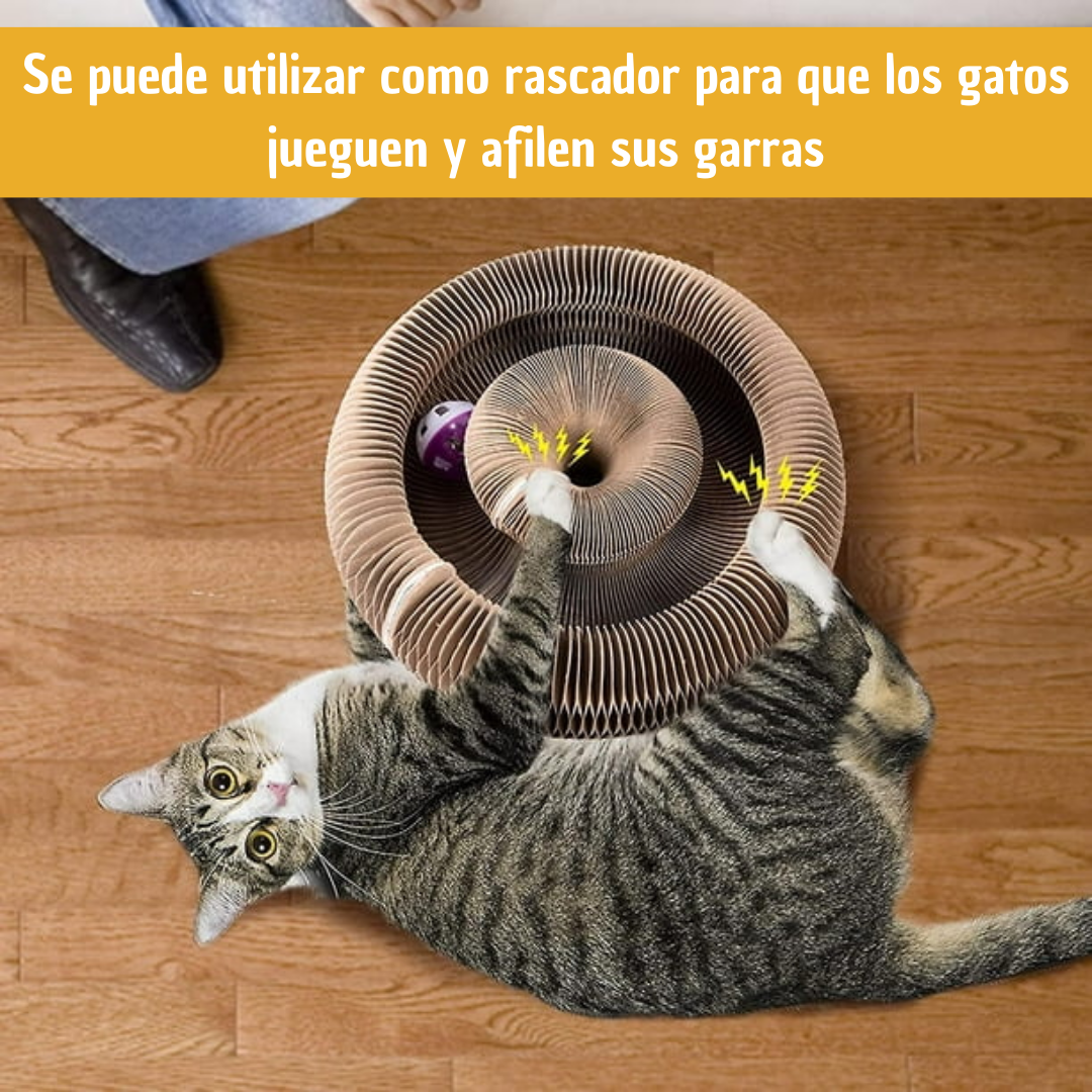 Rascador para gatos con órgano mágico 