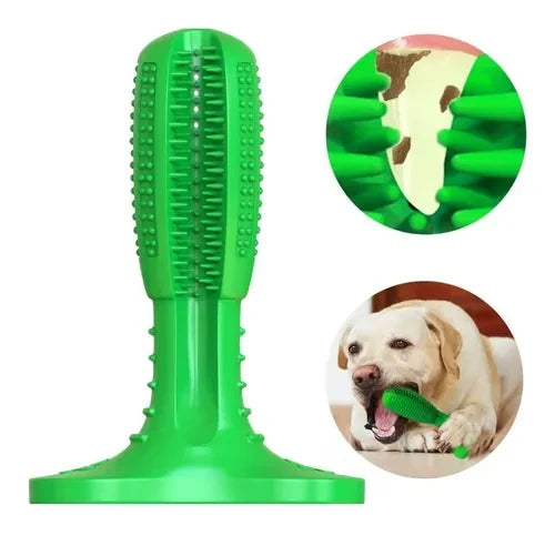 Descubre el Cepillo Dental Antienfermedades para Mascotas: ¡Sonrisas Saludables y Radiantes! 🐾 